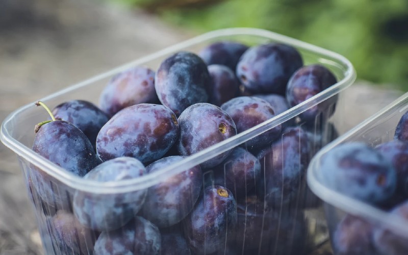 8 Health Benefits of Eating Prunes Every Day DailyThings.me