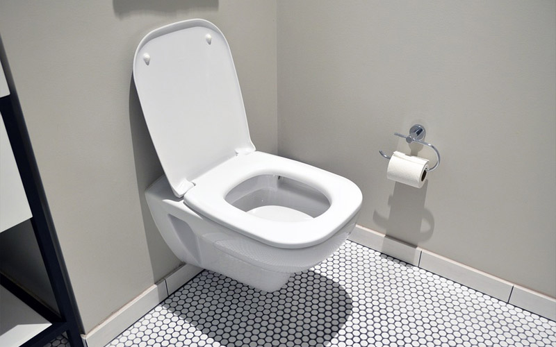 Dangerous Toilet Problems You Must Never Ignore – DailyThings.me