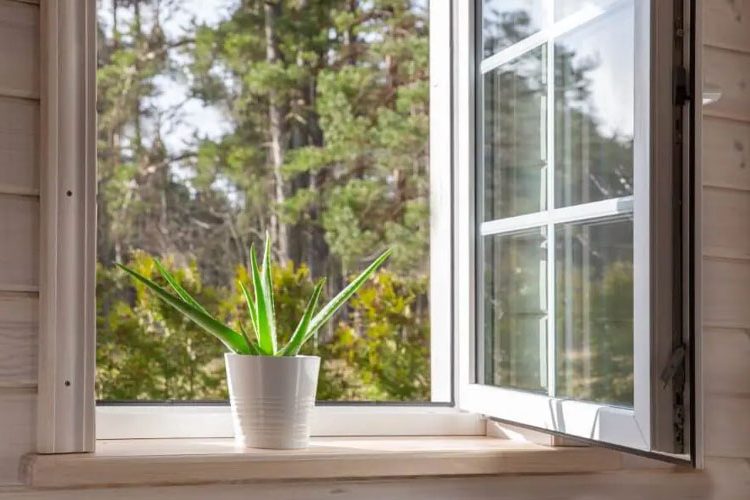 The Most Effortless Window Cleaning Trick DailyThings.me