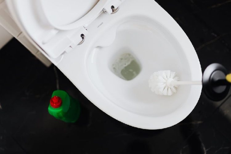 This Simple Trick Can Make Your Toilet Sparkle Like a New DailyThings.me