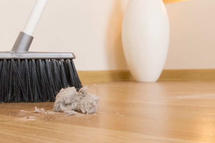 3 Quick Ways to Keep Dust Out of Your Home DailyThings.me