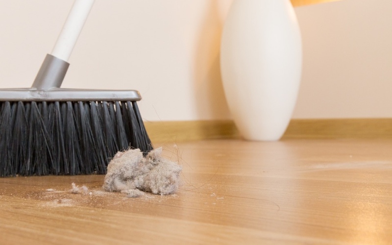 3 Quick Ways to Keep Dust Out of Your Home DailyThings.me