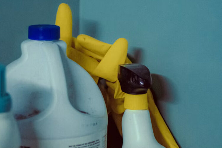 Never Store These Two Cleaners Under the Same Sink – DailyThings.me